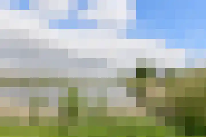 Holsteinpad 34 Teteringen thumbnail 43