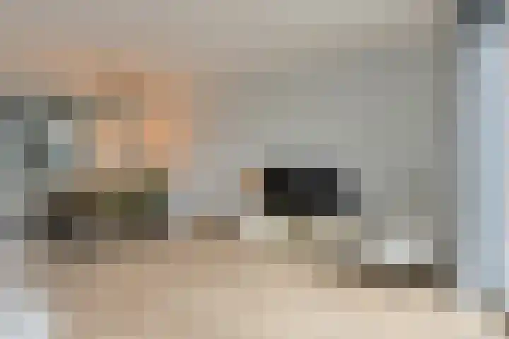 Holsteinpad 34 Teteringen thumbnail 8