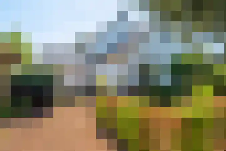 Holsteinslaan 13 Haren Gn thumbnail 48