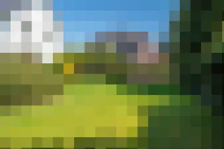Holsteinslaan 13 Haren Gn thumbnail 54