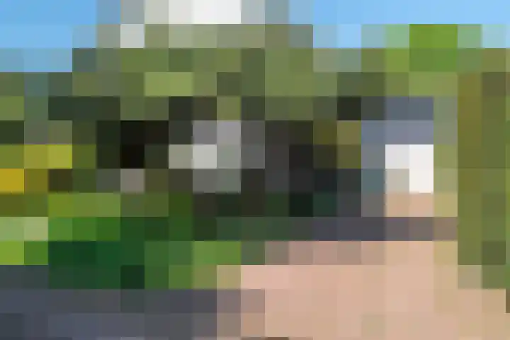 Holsteinslaan 13 Haren Gn thumbnail 56
