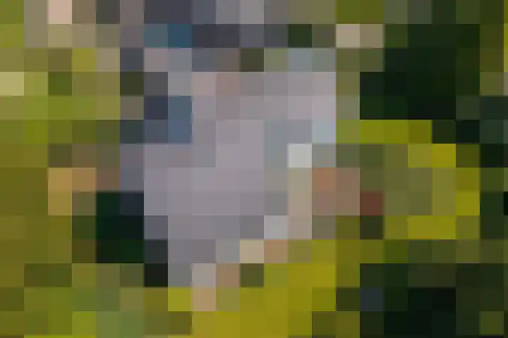 Holsteinslaan 13 Haren Gn thumbnail 57
