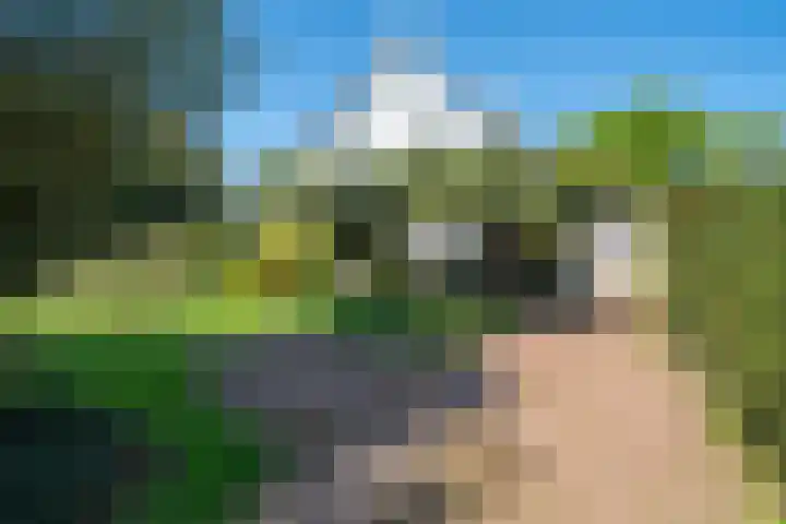 Holsteinslaan 13 Haren Gn thumbnail 7