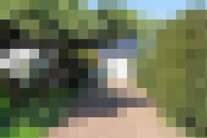 Holsteinslaan 13 Haren Gn thumbnail 8