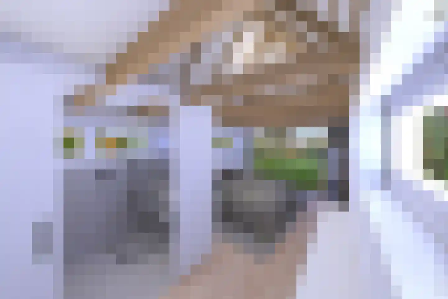 Holsteinslaan 7 a Haren Gn thumbnail 68