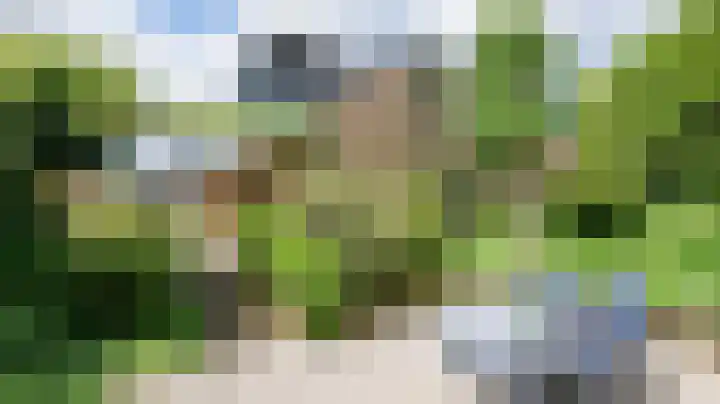 Holsterbeek 18 Geleen thumbnail 36