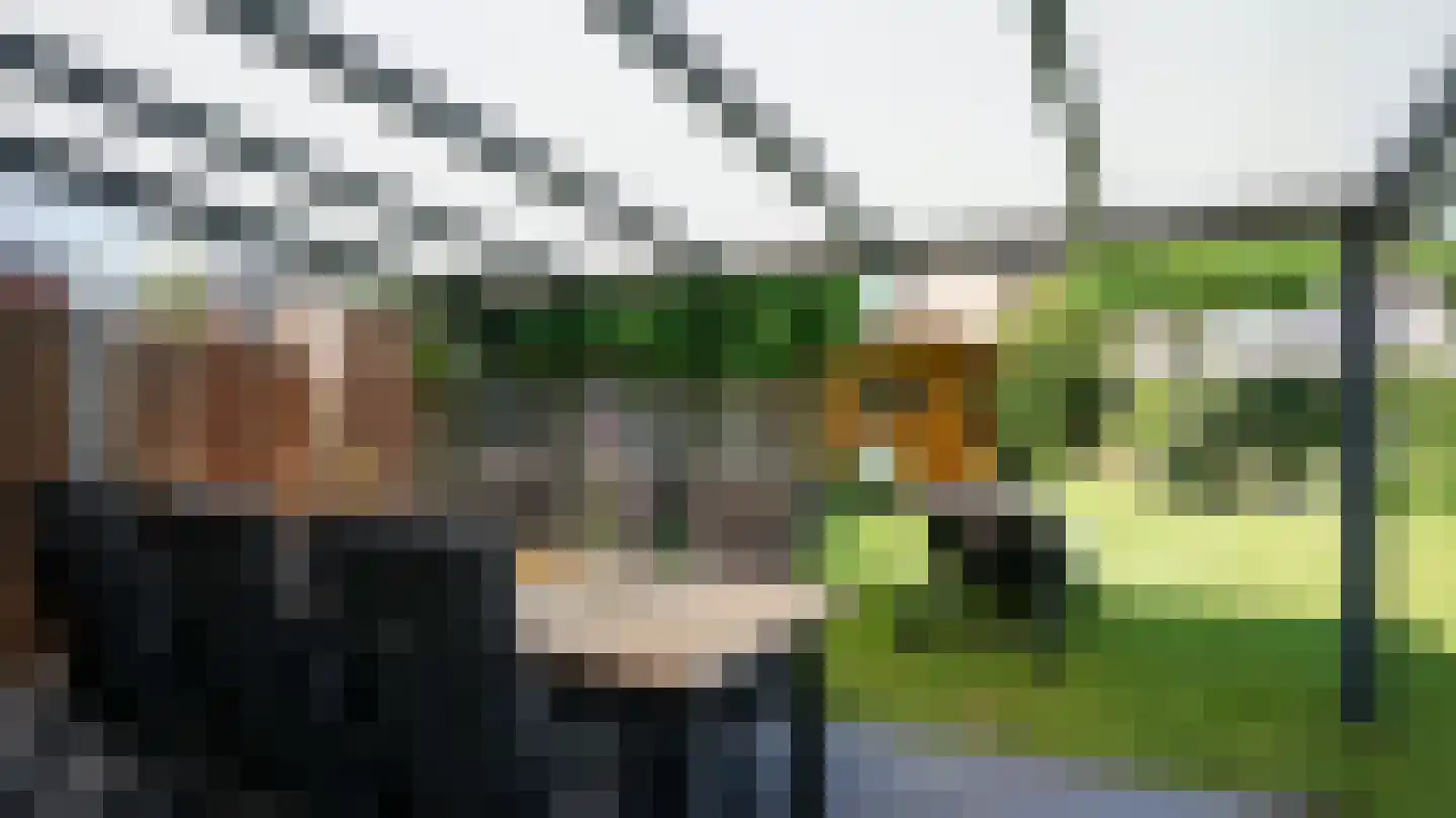Holsterbeek 29 Geleen thumbnail 33