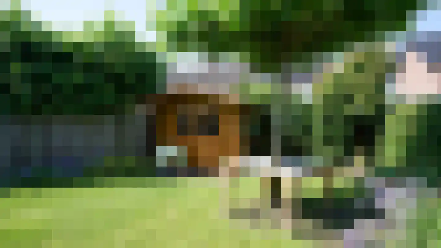 Holsterbeek 29 Geleen thumbnail 39