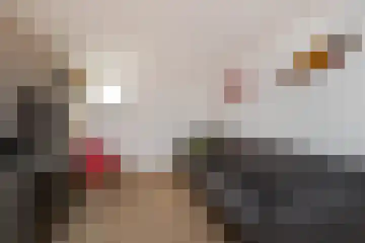 Holsterbeek 36 Geleen thumbnail 36