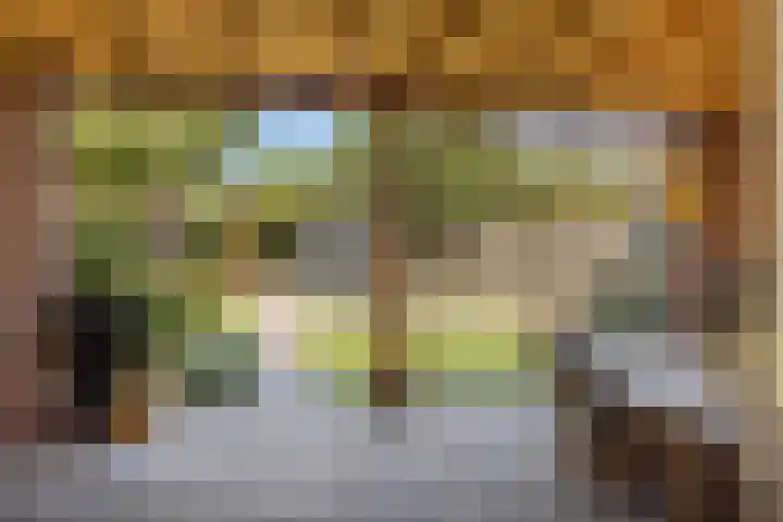 Holsterbeek 5 Geleen thumbnail 20