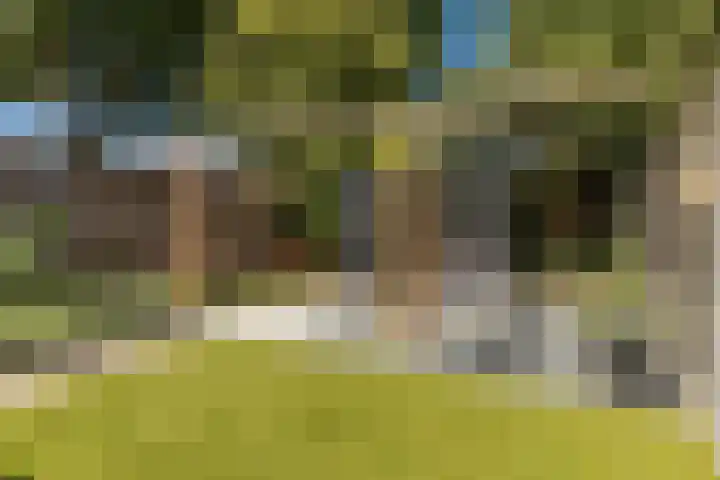 Holsterbeek 5 Geleen thumbnail 21