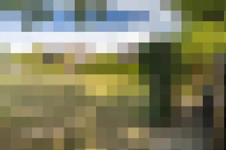 Holsterbeek 5 Geleen thumbnail 23