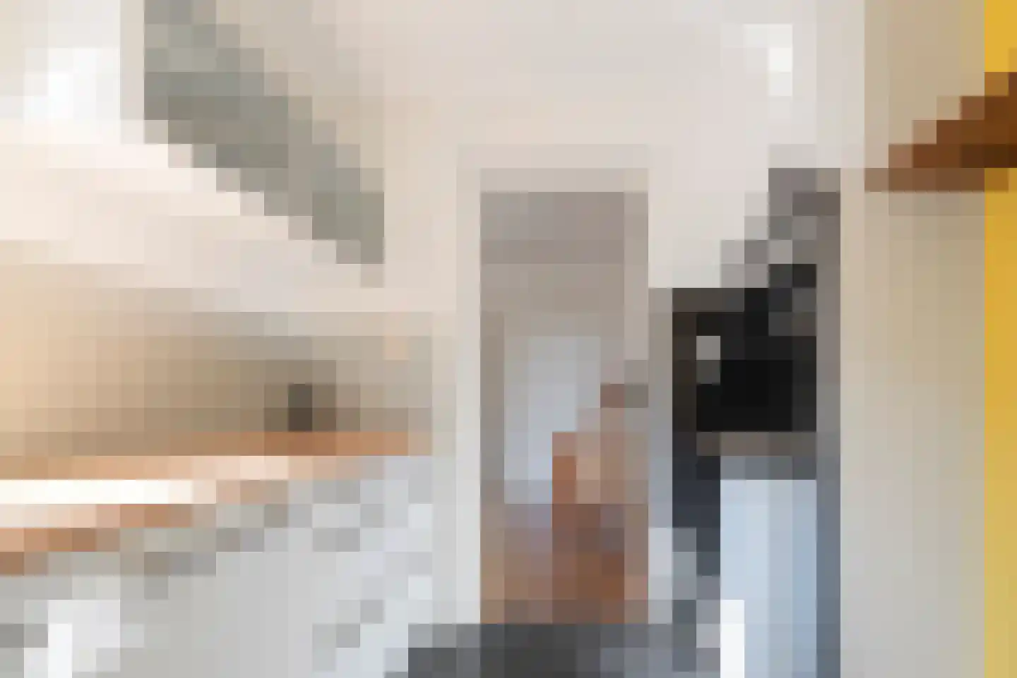 Holsteynstraat 3 ZW Haarlem thumbnail 11