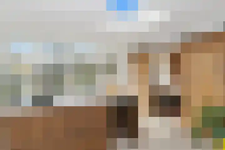 Holstraat 13 Buggenum thumbnail 13