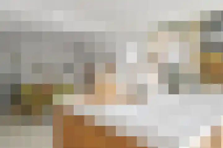Holstraat 13 Buggenum thumbnail 14