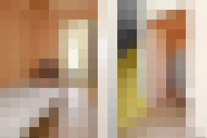 Holstraat 13 Buggenum thumbnail 29
