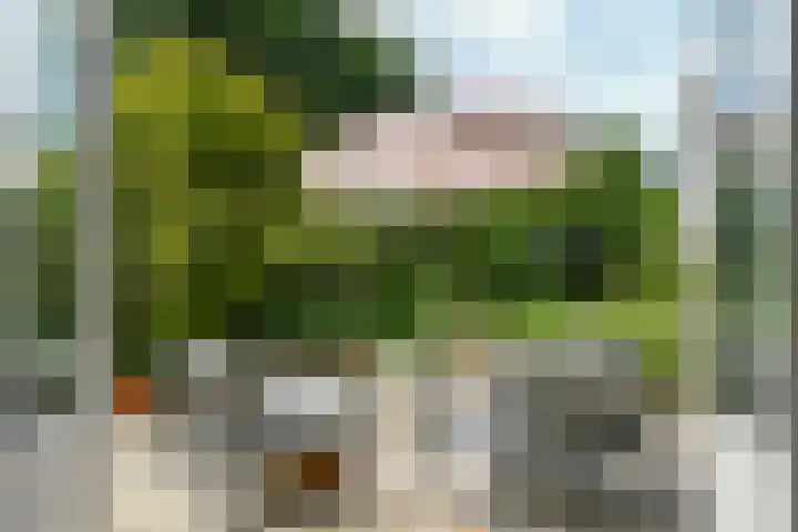Holstraat 13 Buggenum thumbnail 39