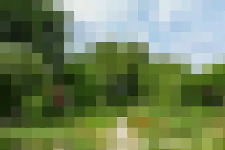 Holstraat 13 Buggenum thumbnail 40