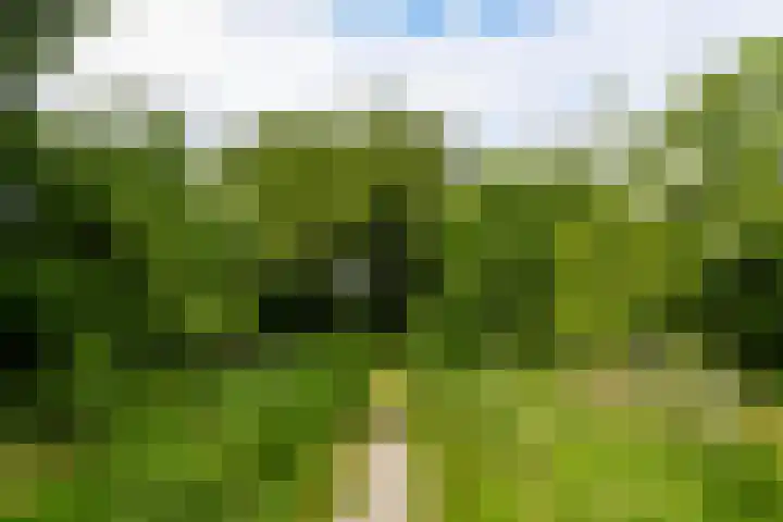 Holstraat 13 Buggenum thumbnail 41