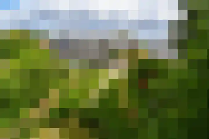 Holstraat 13 Buggenum thumbnail 43