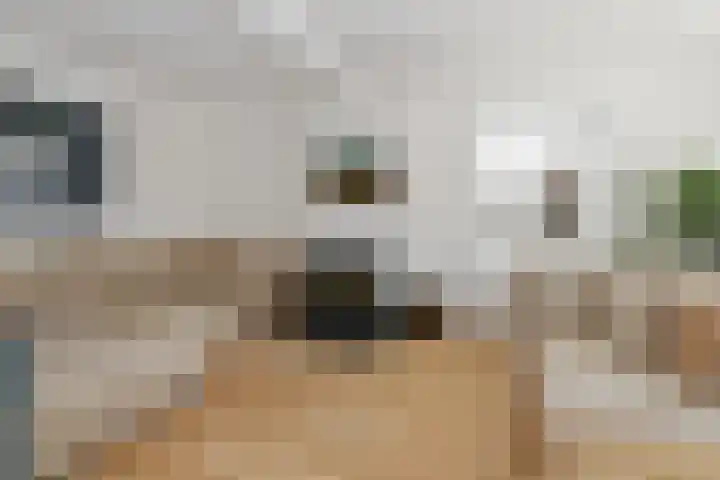 Holstraat 13 Buggenum thumbnail 6