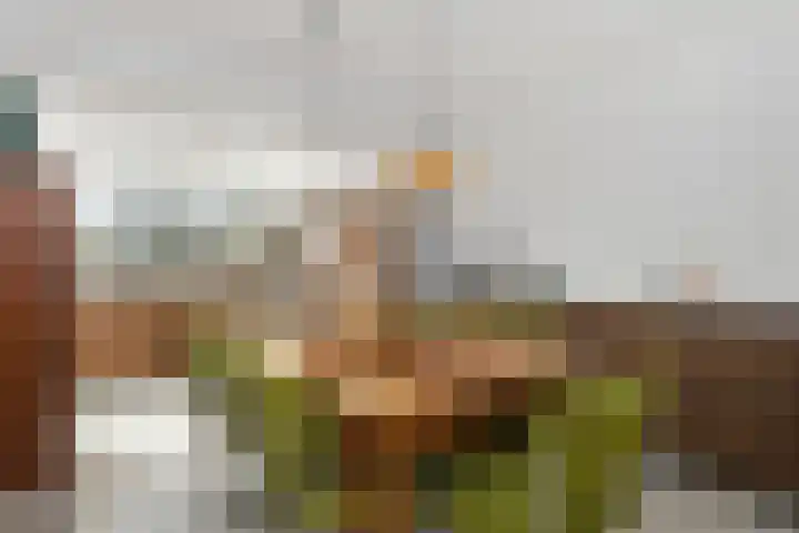 Holstraat 13 Buggenum thumbnail 9
