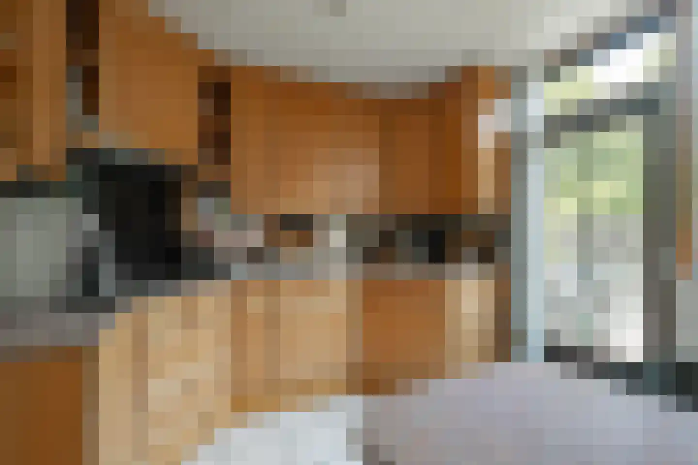 Holstraat 3 Meerssen thumbnail 11