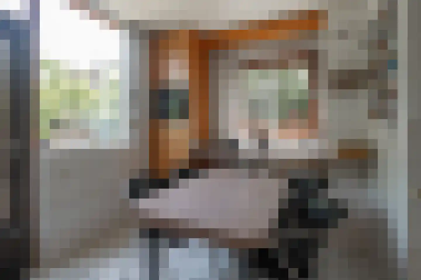 Holstraat 3 Meerssen thumbnail 12