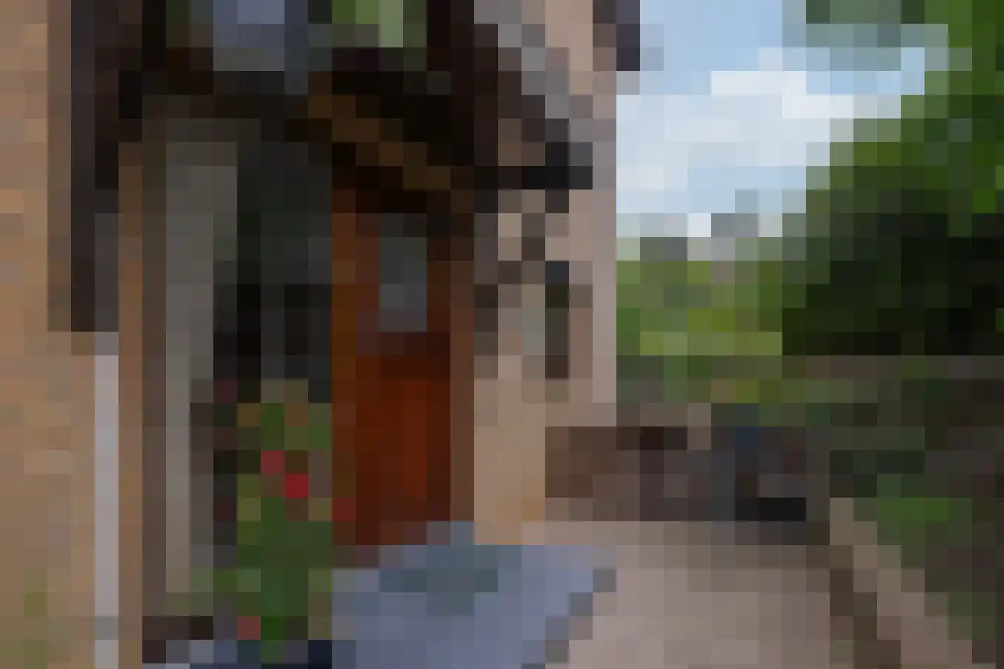 Holstraat 3 Meerssen thumbnail 25