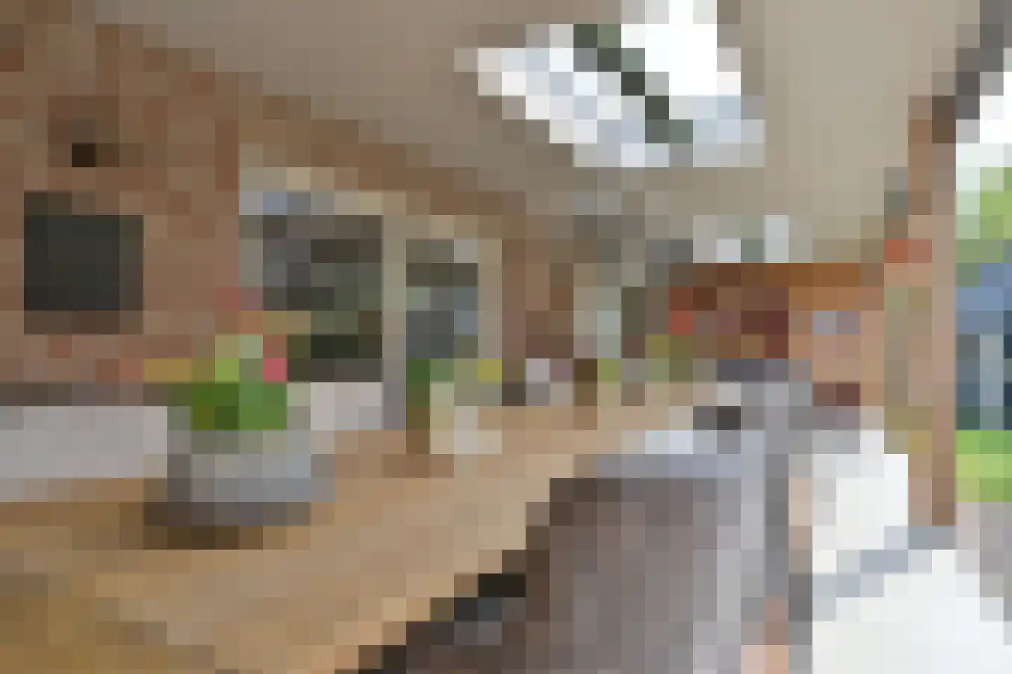 Holstraat 309 Maastricht thumbnail 6