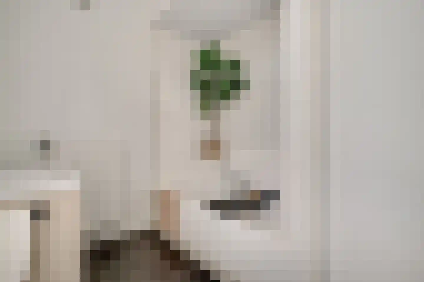 Holstraat 44 Buggenum thumbnail 12