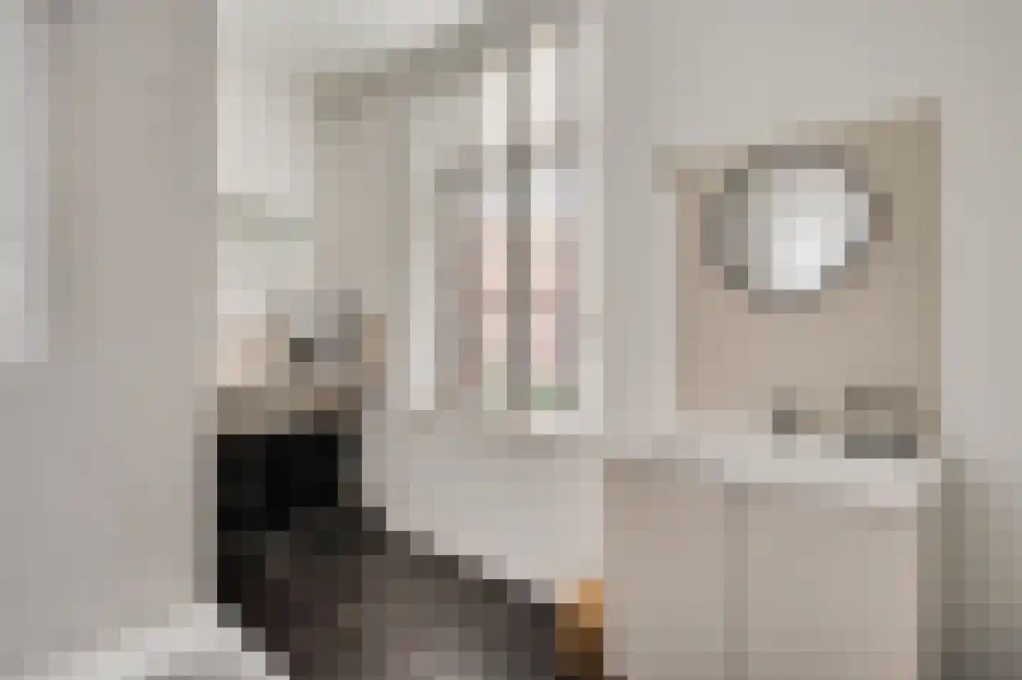 Holstraat 44 Buggenum thumbnail 13
