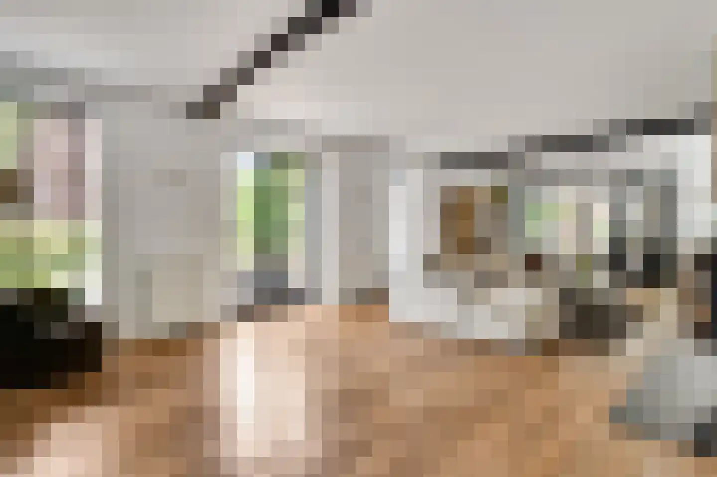 Holstraat 44 Buggenum thumbnail 14