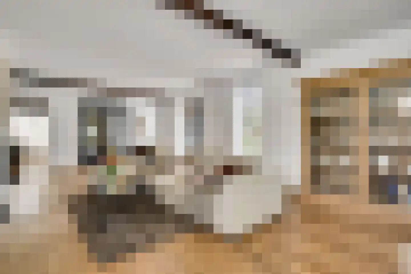 Holstraat 44 Buggenum thumbnail 15