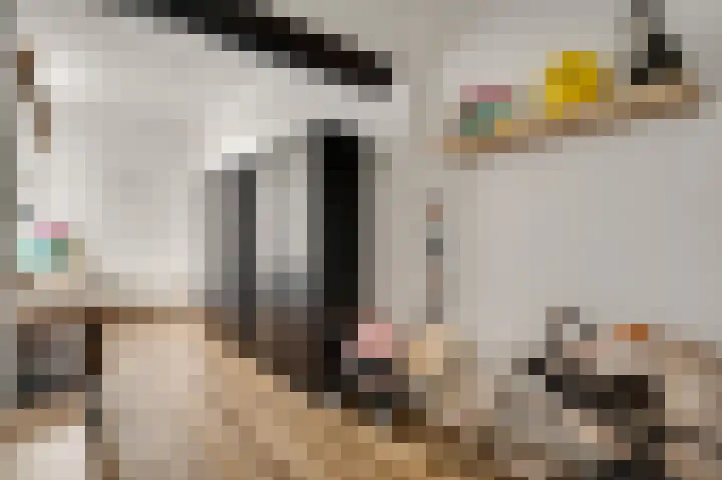 Holstraat 44 Buggenum thumbnail 16