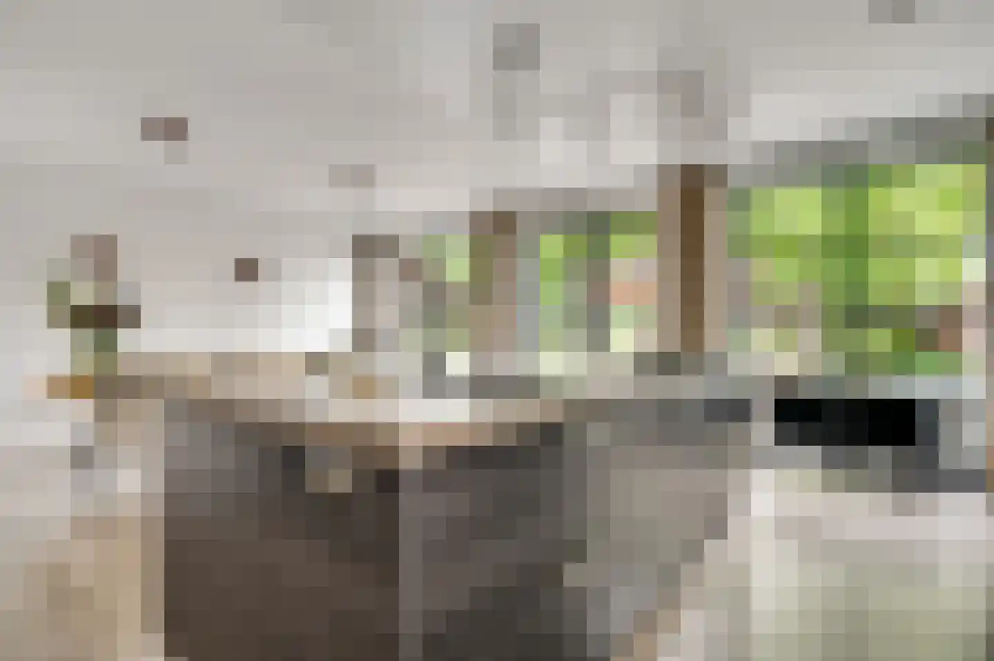 Holstraat 44 Buggenum thumbnail 18