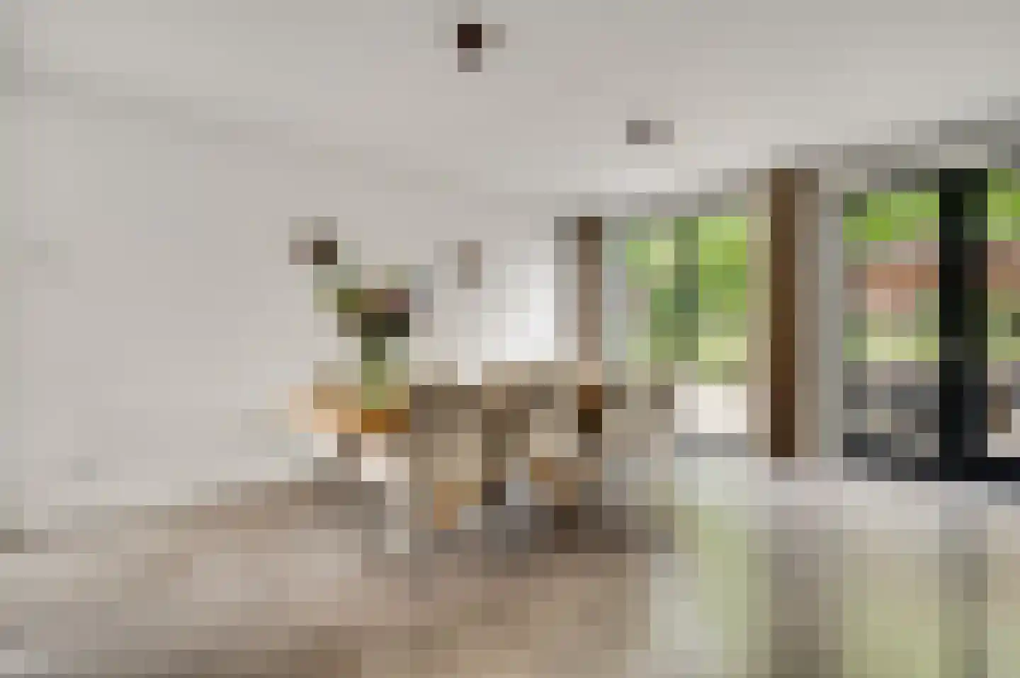 Holstraat 44 Buggenum thumbnail 19