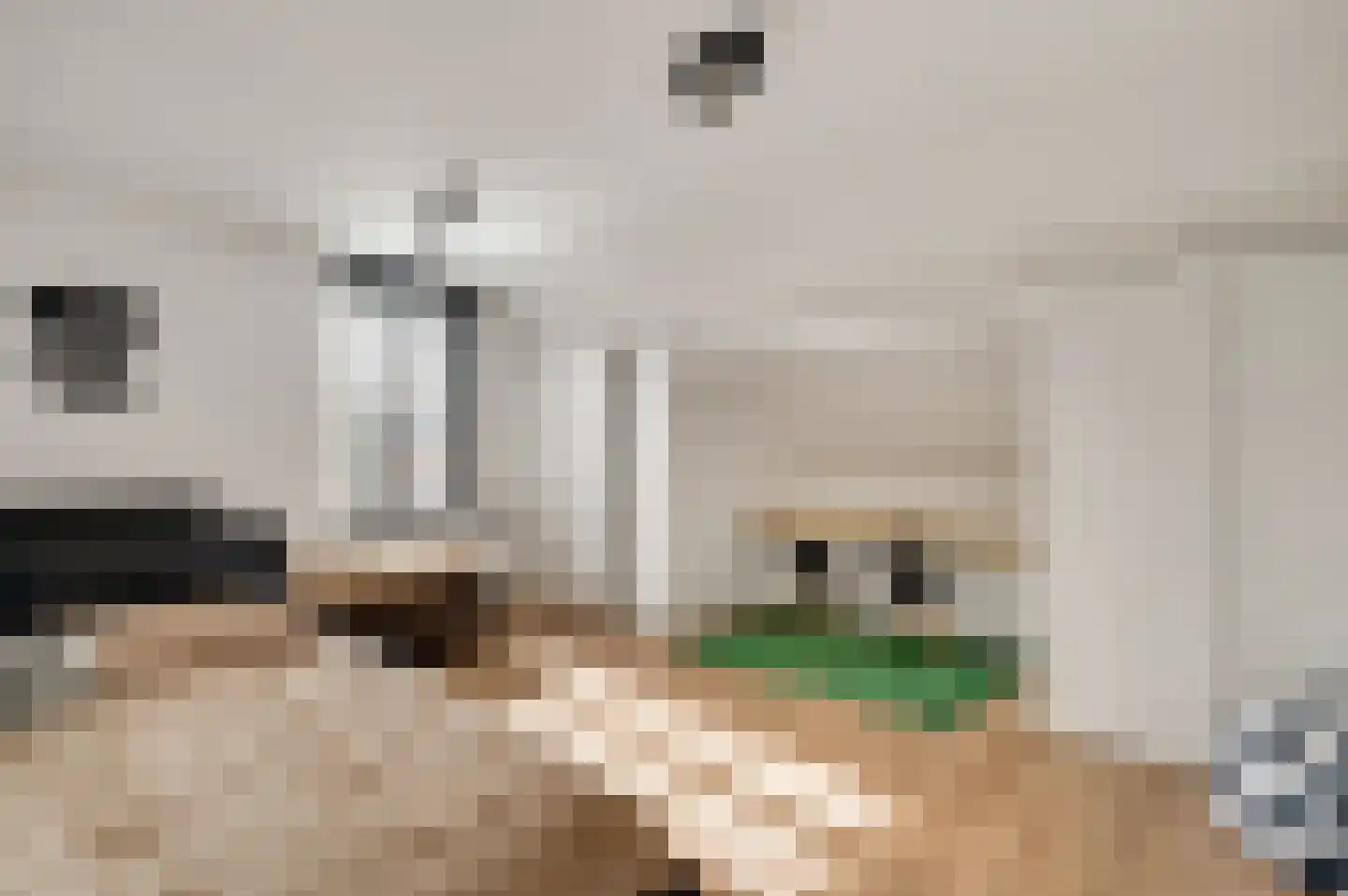 Holstraat 44 Buggenum thumbnail 26