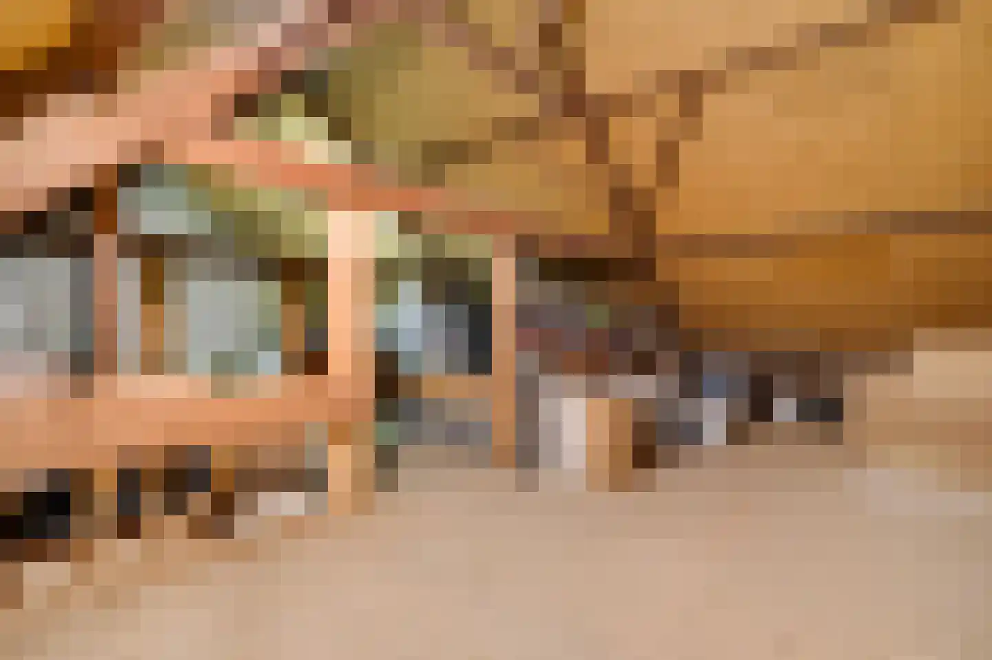 Holstraat 44 Buggenum thumbnail 30