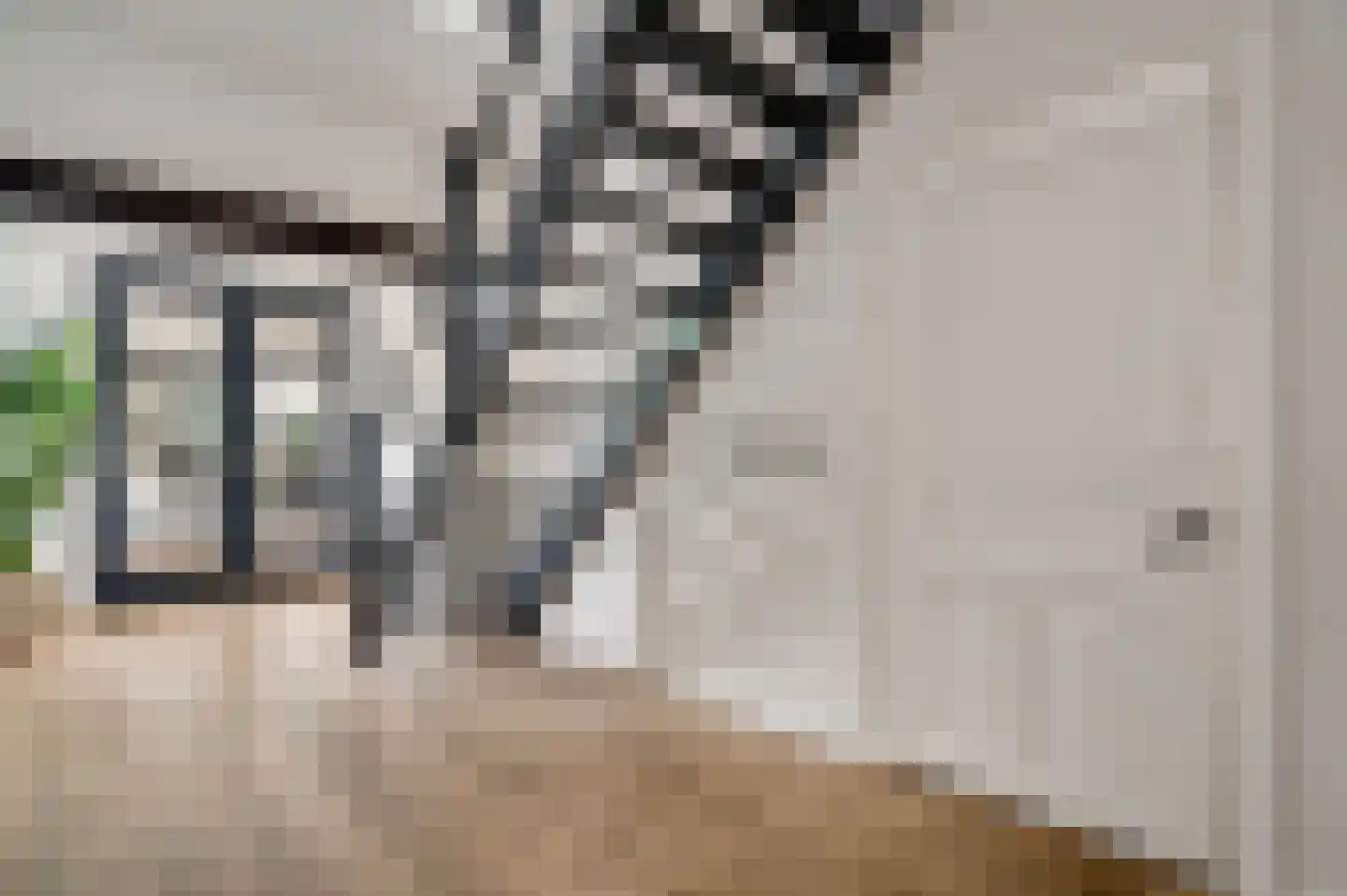 Holstraat 44 Buggenum thumbnail 9
