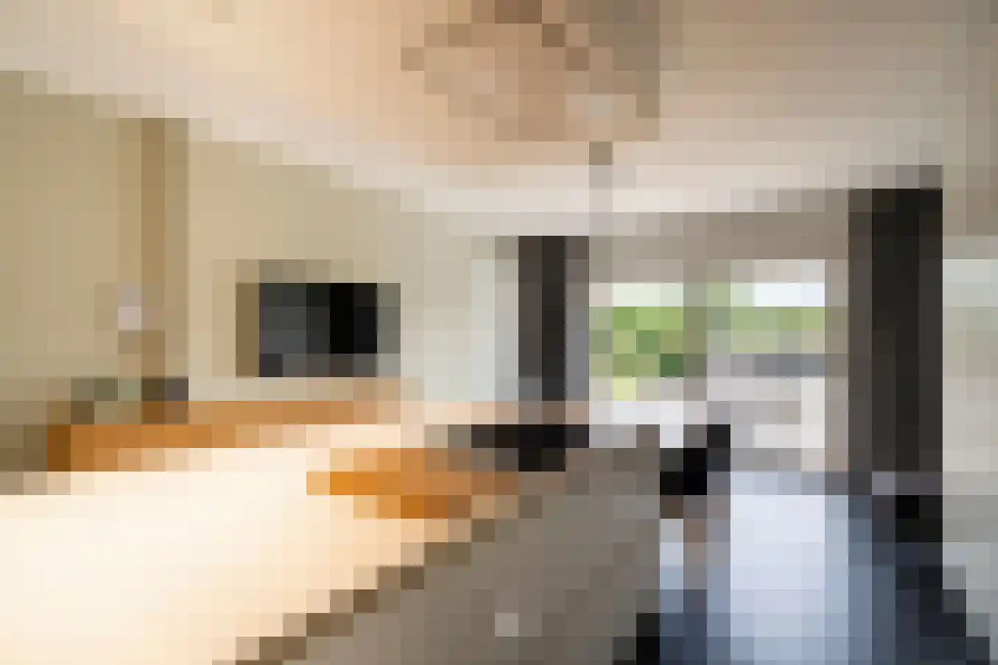 Holstraat 53 Maastricht thumbnail 10