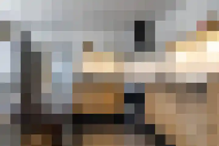 Holstraat 7 Thorn thumbnail 19