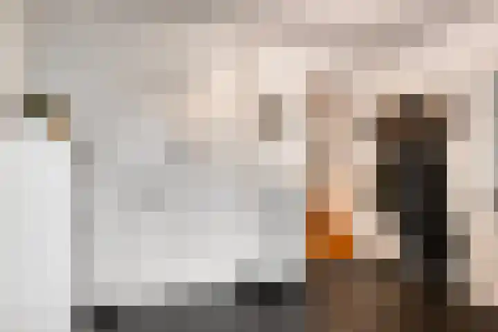 Holstraat 7 Thorn thumbnail 22