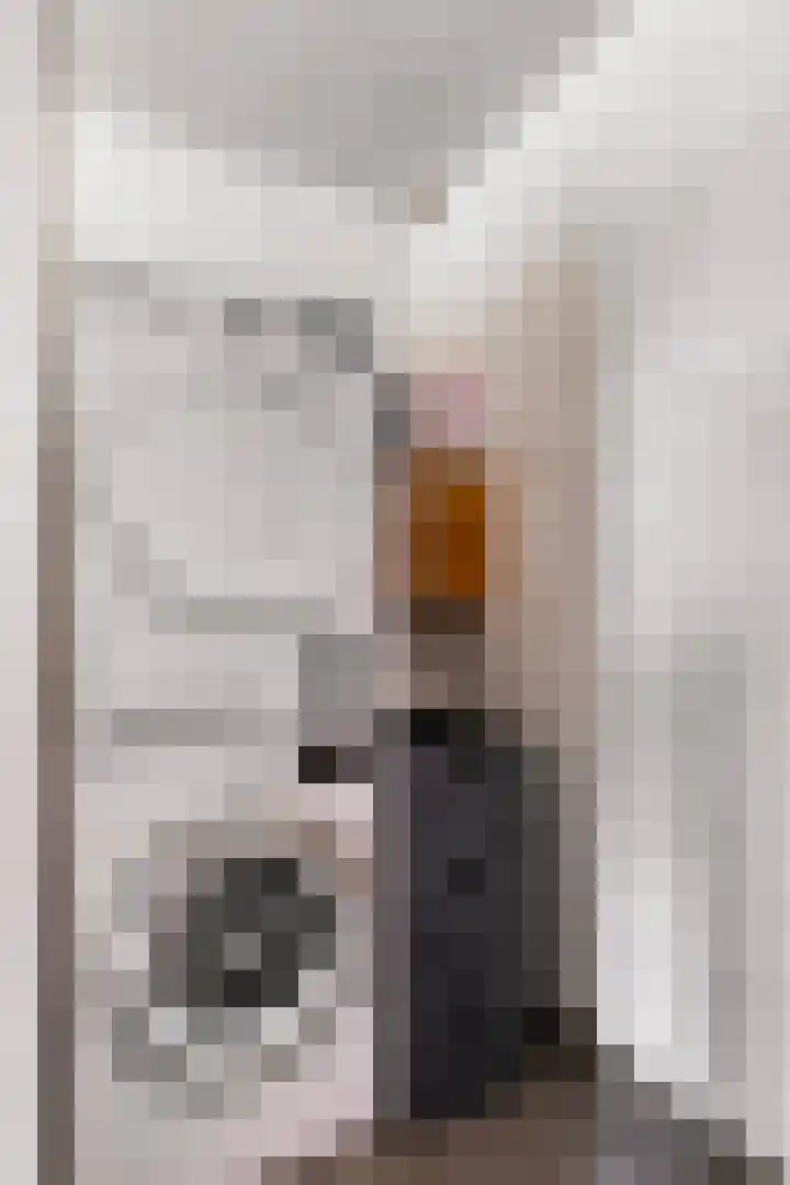 Holstraat 7 Thorn thumbnail 31