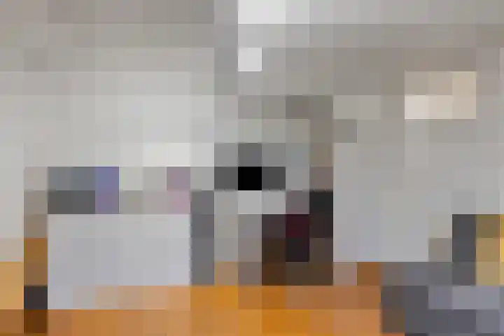 Holstraat 7 Thorn thumbnail 33