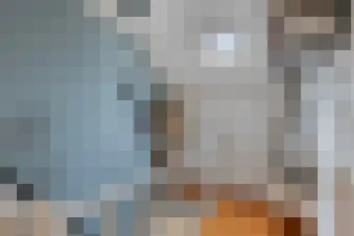 Holstraat 7 Thorn thumbnail 35