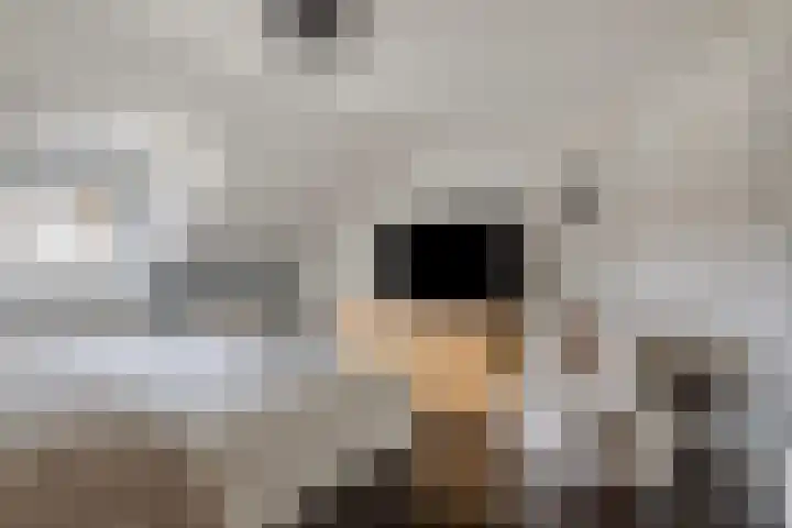 Holstraat 7 Thorn thumbnail 38