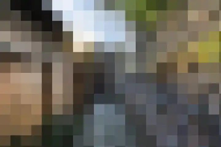Holstraat 7 Thorn thumbnail 46