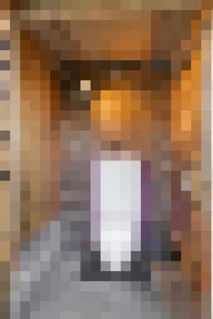 Holstraat 7 Thorn thumbnail 55