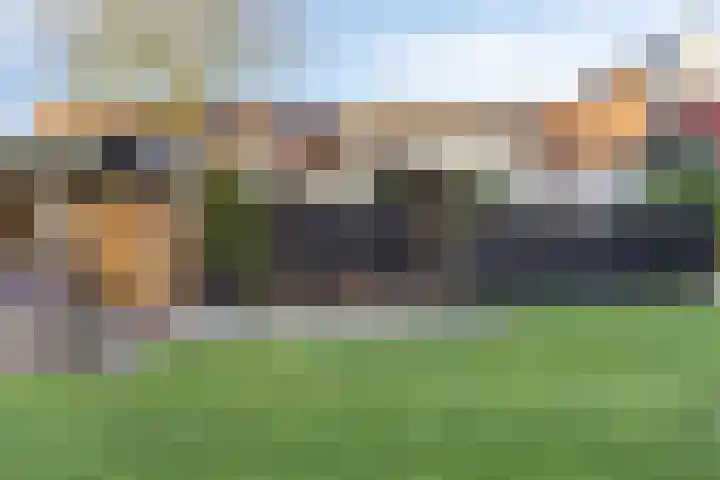 Holstraat 7 Thorn thumbnail 59
